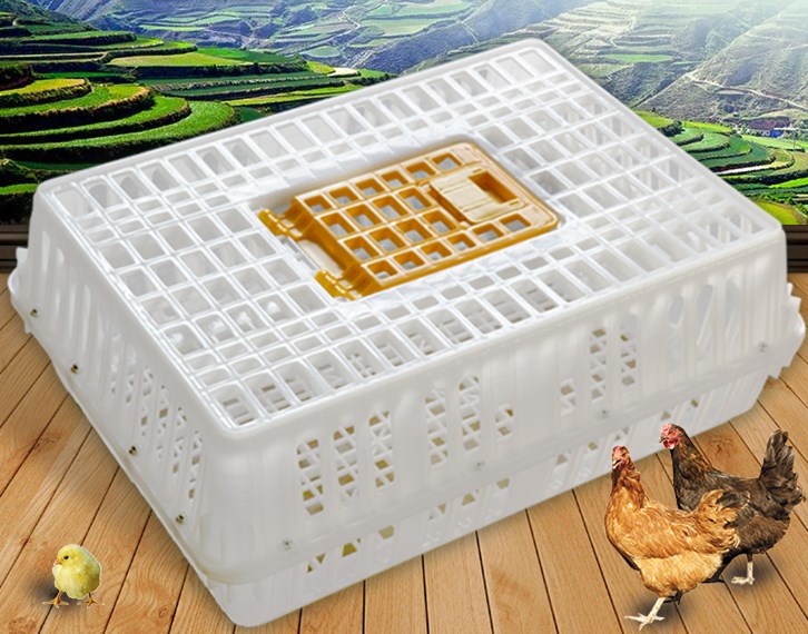 爆款周轉(zhuǎn)籠全新料廠家直營加厚運輸籠養(yǎng)殖場家禽籠雞用塑料雞籠